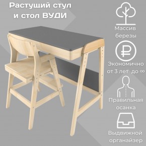 Комплект растущий стол и стул 38 попугаев «Вуди» (Серый, Без покрытия) в Кировграде - kirovgrad.mebel-74.com | фото