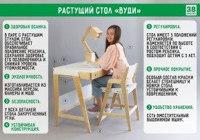 Комплект растущий стол и стул 38 попугаев «Вуди» (Серый, Без покрытия) в Кировграде - kirovgrad.mebel-74.com | фото