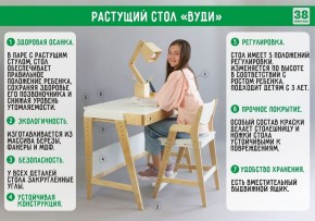 Комплект растущий стол и стул с чехлом 38 попугаев «Вуди» (Серый, Береза, Монстры) в Кировграде - kirovgrad.mebel-74.com | фото