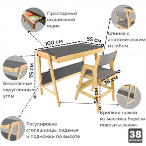 Комплект растущий стол и стул с чехлом 38 попугаев «Вуди» (Серый, Береза, Серый) в Кировграде - kirovgrad.mebel-74.com | фото
