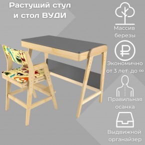 Комплект растущий стол и стул с чехлом 38 попугаев «Вуди» (Серый, Без покрытия, Монстры) в Кировграде - kirovgrad.mebel-74.com | фото