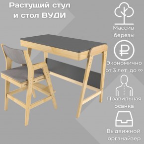 Комплект растущий стол и стул с чехлом 38 попугаев «Вуди» (Серый, Без покрытия, Серый) в Кировграде - kirovgrad.mebel-74.com | фото
