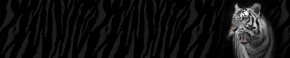 Кухонный фартук Фауна 055 МДФ матовый (3000) Fauna в Кировграде - kirovgrad.mebel-74.com | фото