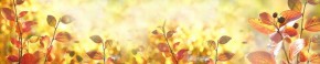 Кухонный фартук Цветы 318 МДФ матовый (3000) Flowers в Кировграде - kirovgrad.mebel-74.com | фото