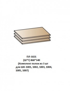 ПЛ-1021 (Комплект полок из 3 шт для ШК-1001, 1002, 1003, 1004, 1005, 1007) в Кировграде - kirovgrad.mebel-74.com | фото