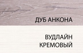 Шкаф 2DG, OLIVIA, цвет вудлайн крем/дуб анкона в Кировграде - kirovgrad.mebel-74.com | фото