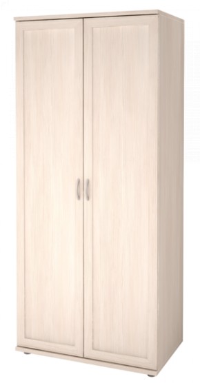 Шкаф для одежды 2-х дверный Ника-Люкс 21 в Кировграде - kirovgrad.mebel-74.com | фото
