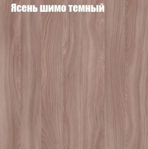 Шкаф-купе «ТАНДЕМ» 2-х дверный в алюминиевом профиле (Дверь К+К) 1600/h2200 в Кировграде - kirovgrad.mebel-74.com | фото