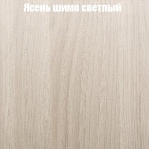 Шкаф-купе «ТАНДЕМ» 3-х дверный в алюминиевом профиле (Дверь К+К+К) 2100/h2200 в Кировграде - kirovgrad.mebel-74.com | фото